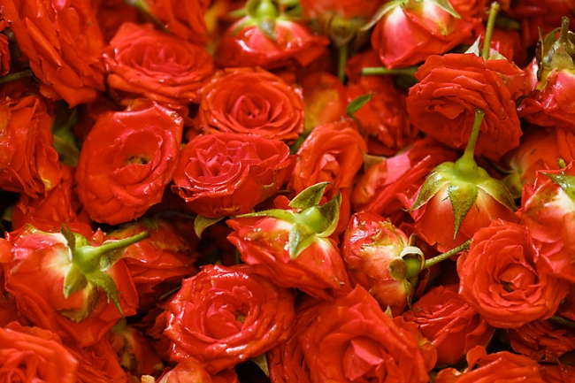 Mysore-Le marché-018